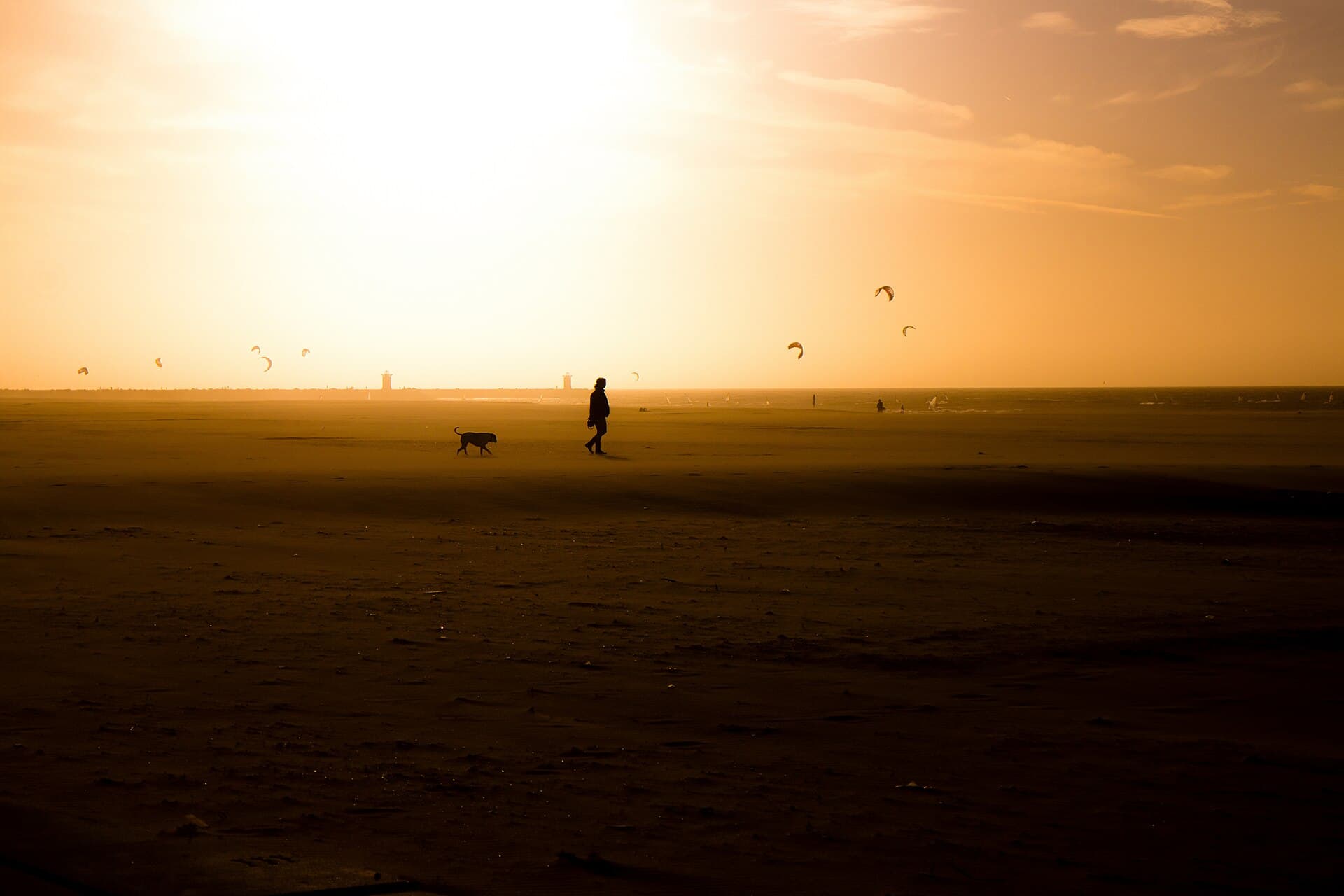 Una passeggiata al tramonto sulla spiaggia con il cane